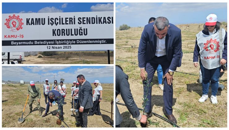 Çayönü köyünde “Kamu İş Koruluğu” oluşturuldu