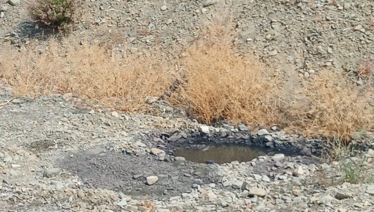 Lefke Çevre ve Ekoloji Derneği’nden lağım suları sorununa kalıcı çözüm çağrısı