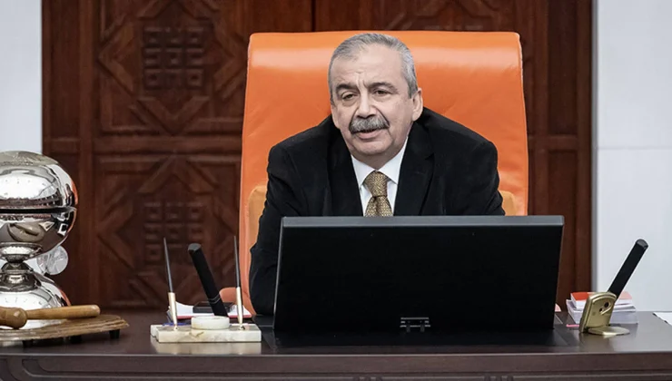 Sırrı Süreyya Önder TBMM Genel Kurulu’nda düzenlenecek törenle anılacak