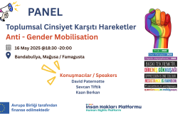 İnsan Hakları Platformu, “Toplumsal Cinsiyet Karşıtı Hareketler” paneli düzenliyor