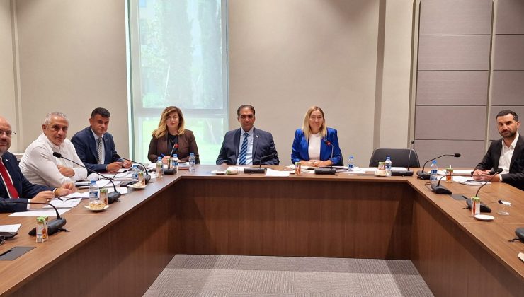 Cumhuriyet Meclisi, Hukuk, Siyasi İşler, Dışilişkiler ve Savunma Komitesi toplandı