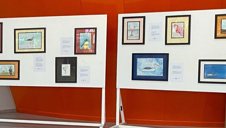 “Kıbrıs’taki Kuşlar” resim sergisi Ercan Havalimanı’nda açıldı