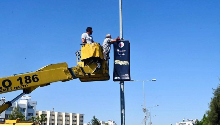 Gönyeli-Alayköy Belediyesi’nden Biyolojik Çeşitlilik Günü’ne özel çevresel farkındalık projesi