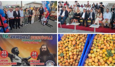 16. Zerdali Festivali  başladı