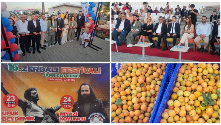 16. Zerdali Festivali  başladı