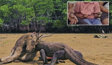 Komodo ejderinin saldırısında kolunu kaybeden çocuk Türkiye’ye getirilebilir – Son Dakika Yaşam Haberleri