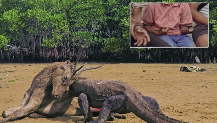 Komodo ejderinin saldırısında kolunu kaybeden çocuk Türkiye’ye getirilebilir – Son Dakika Yaşam Haberleri