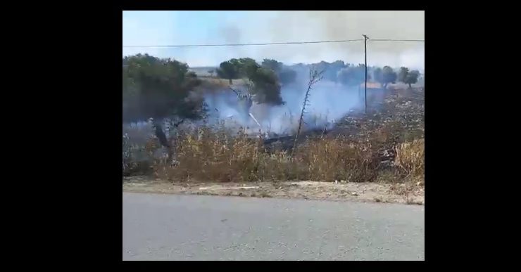 Avtepe-Kuruova arasında yangın