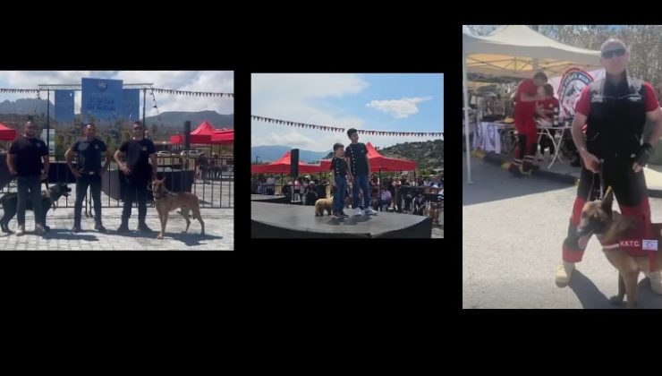 Çatalköy-Esentepe Belediyesi evcil hayvan festivali düzenledi