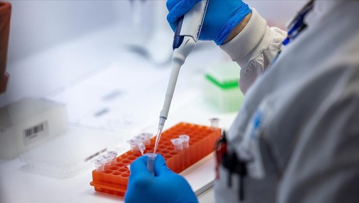 Sierra Leone’de M çiçeği vakaları artmaya devam ediyor