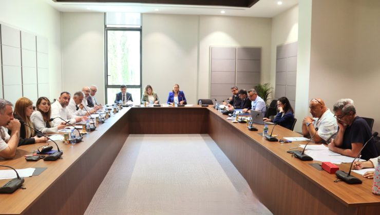 Hukuk, Siyasi İşler, Dışilişkiler ve Savunma Komitesi toplandı