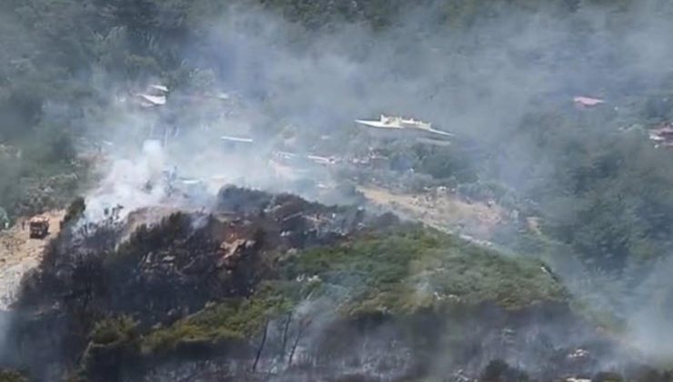 İzmir’de orman yangını kontrol altına alındı
