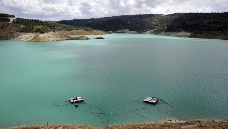 Narenciye Üreticiler Birliği’nden su dağıtımında adalet ve planlama çağrısı