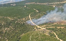 İzmir’de çıkan orman yangınına müdahale ediliyor