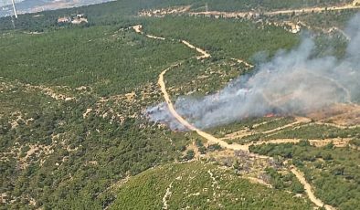 İzmir’de çıkan orman yangınına müdahale ediliyor