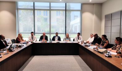 İdari Komite Genel Kurul’dan geri gönderilen Sağlık Hizmetleri Dairesi yasa tasarısını görüştü