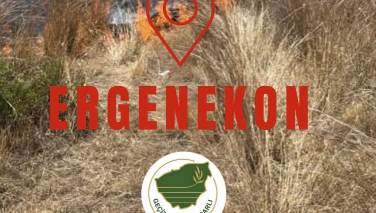 Ergenekon köyünde yangın…