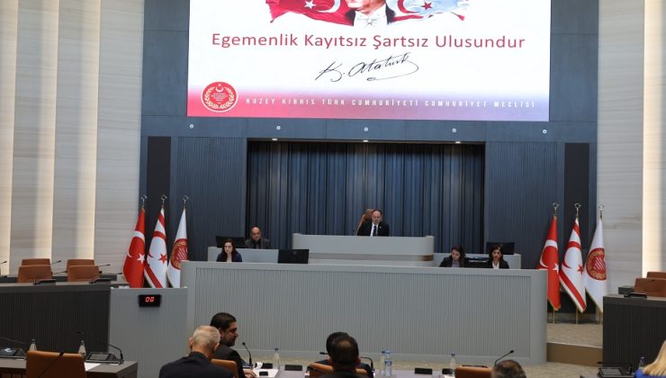 Yol ve trafik suçlarının davasız çözümüne ilişkin yasa tasarısı oy birliğiyle kabul edildi