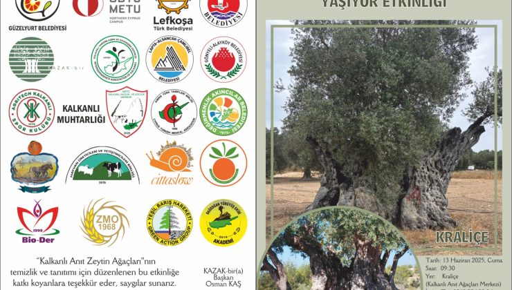 “Kalkanlı Anıt Zeytin Ağaçları Yaşıyor” etkinliği 13 Haziran Cuma günü düzenlenecek