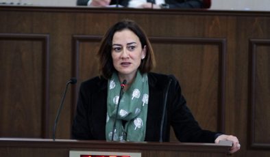 “Çocukların Cinsel Sömürüye ve İstismara Karşı Korunması Sözleşmesi’ni Meclis’e sunduk”