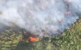 Antalya’da iki bölgede orman yangını: Havadan ve karadan müdahale ediyor