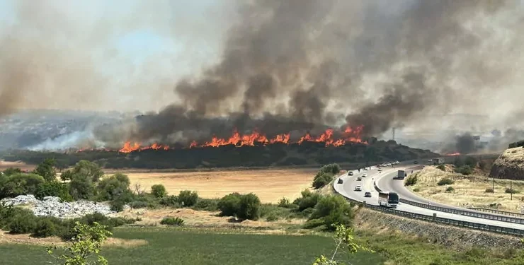 Türkiye’de orman yangınları:Son iki günde ülke genelinde 150 yangın çıktı