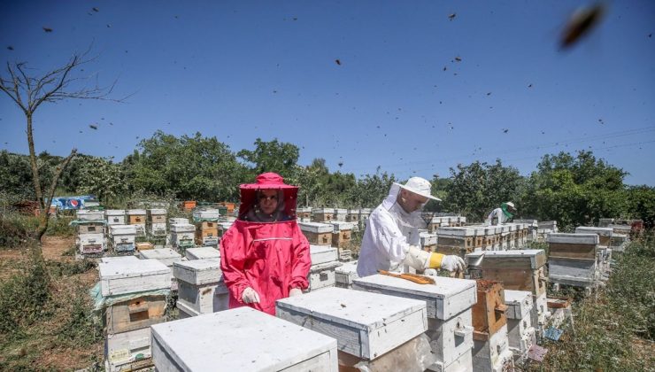 4 arkadaş eşleriyle birlikte üretiyor:  Türkiye’nin dört bir yanına gönderiyorlar