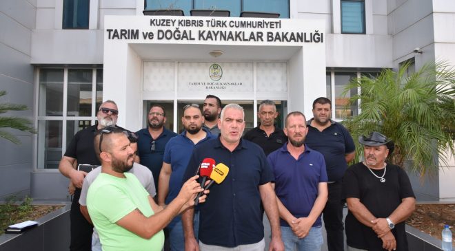 Hayvan üreticileri hükümete seslendi: Artık planlı üretim yapmak istiyoruz