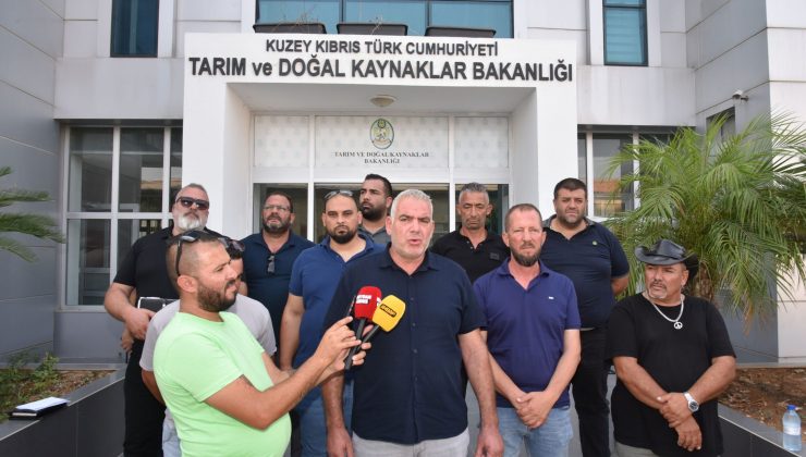 Hayvan üreticileri hükümete seslendi: Artık planlı üretim yapmak istiyoruz