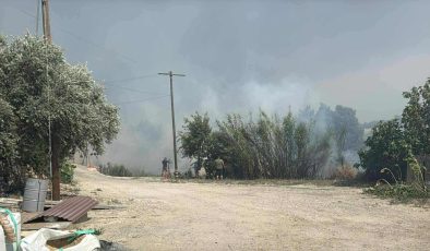 Limasol’un dağlık bölgesinde hızla yayılan yangın Vuni ve Potami’ye doğru ilerliyor