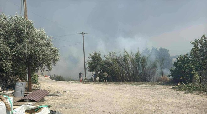Limasol’un dağlık bölgesinde hızla yayılan yangın Vuni ve Potami’ye doğru ilerliyor