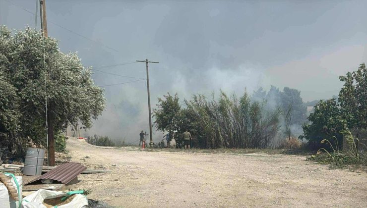 Limasol’un dağlık bölgesinde hızla yayılan yangın Vuni ve Potami’ye doğru ilerliyor