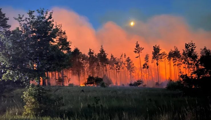 Almanya’da çıkan iki büyük orman yangını devam ediyor