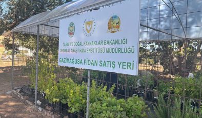 Gazimağusa’da fidanlık satış yeri hizmete girdi