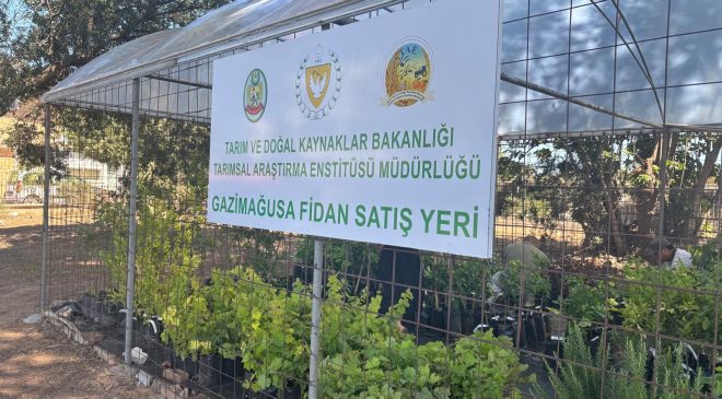 Gazimağusa’da fidanlık satış yeri hizmete girdi