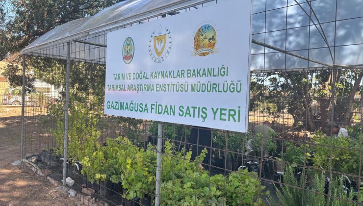 Gazimağusa’da fidanlık satış yeri hizmete girdi