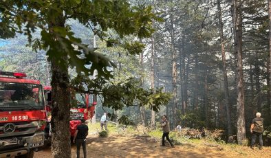 Bursa’nın 2 ilçesinde çıkan orman yangınına müdahale ediliyor