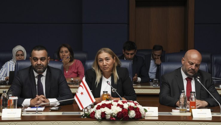 TBMM Güvenlik ve İstihbarat Komisyonu Başkanı Tipioğlu, Cumhuriyet Meclisi heyetiyle görüştü