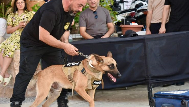 Suçluların korkulu rüyası “süper burun” dedektör köpekler her an göreve hazır