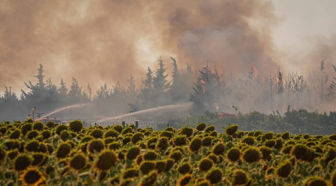 Tekirdağ’da çıkan orman yangını Çanakkale’ye sıçradı