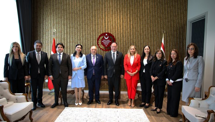 Meclis Başkanı Öztürkler, Yeni Azerbaycan Partisi üyelerini kabul etti