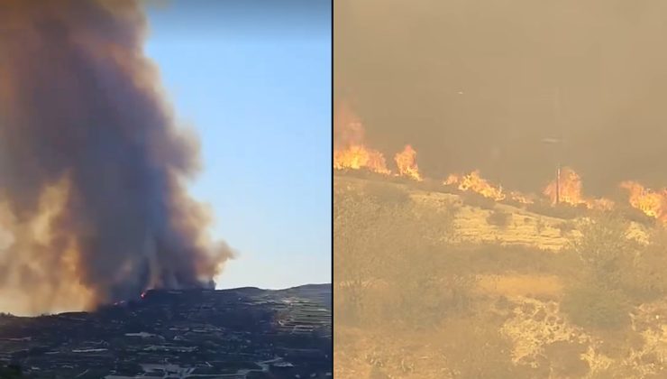 Limasol’un dağlık bölgelerindeki yangın için uluslararası destek istendi