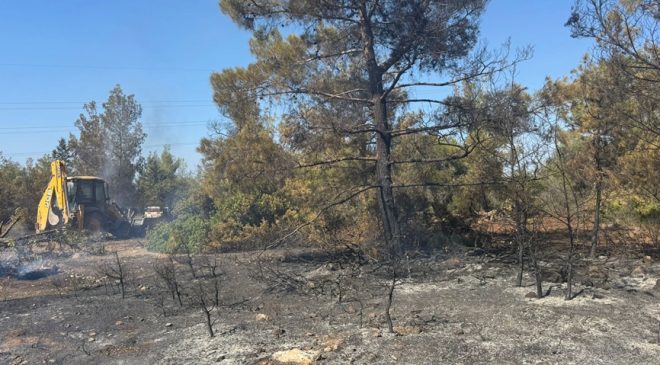 Esentepe-Karaağaç bölgesindeki yangına 29 muhtelif cinste araçla müdahale edildi