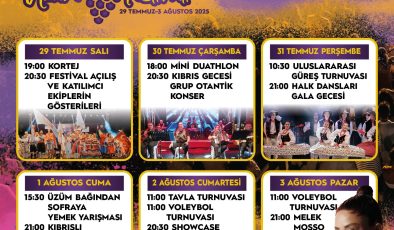 63. Geleneksel Mehmetçik Üzüm Festivali yarın başlıyor 