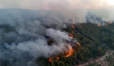 Tunç: “Orman yangınlarıyla ilgili 39 kişi tutuklandı”