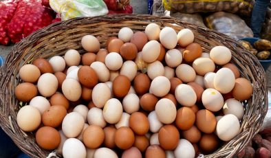 Beyaz mı, yoksa kahverengi yumurta mı: Hangisi daha sağlıklı?