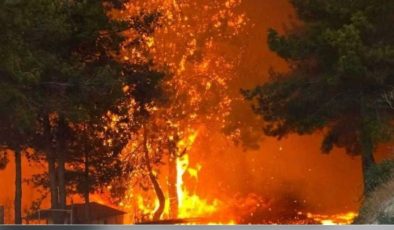 Limasol bölgesinde 11 köy boşaltıldı… 1 kişi yaralandı
