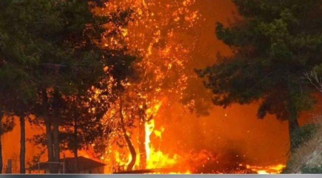 Limasol bölgesinde 11 köy boşaltıldı… 1 kişi yaralandı