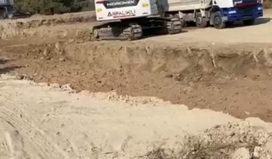 DTB’de tesis büyüyor