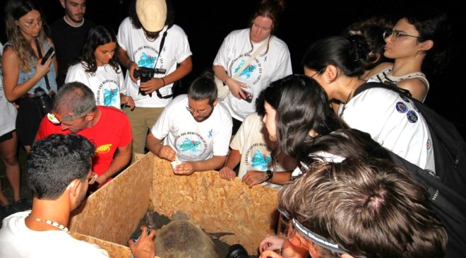Caretta Caretta kaplumbağalarına uydu vericisi takıldı